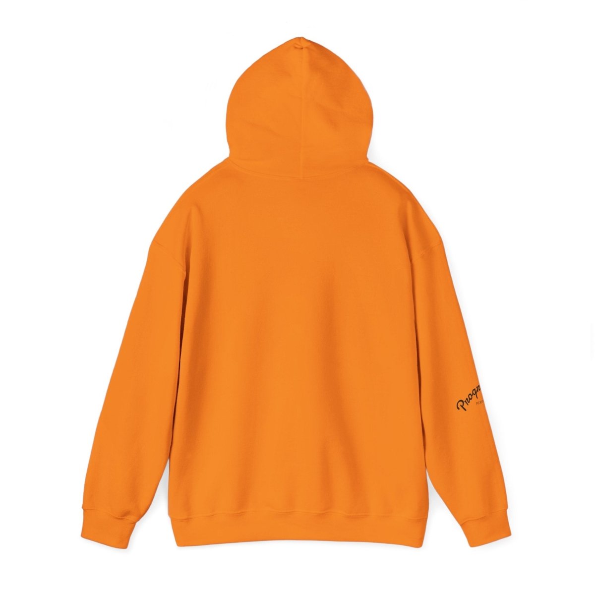 Cozy Vibrant Hoodie | Stylish Unisex Fashion for Everyday Comfort - LUXURY LEGEND